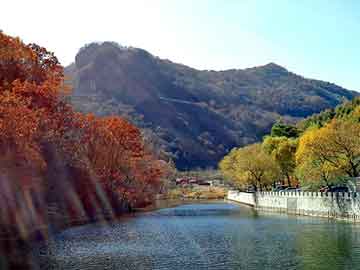 奥门天天开奖免费资料，松岗画册设计